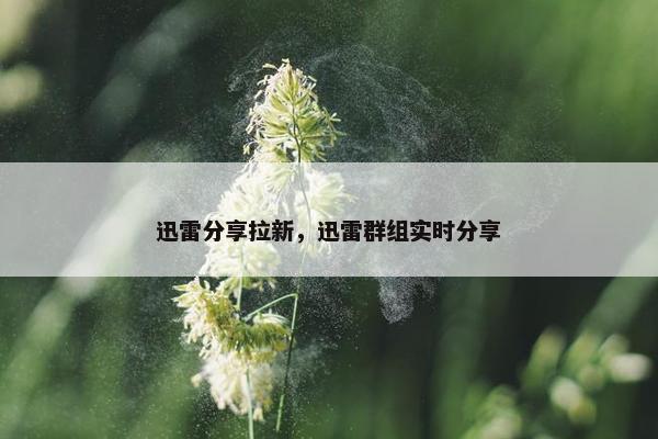 迅雷分享拉新，迅雷群组实时分享