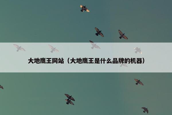 大地鹰王网站（大地鹰王是什么品牌的机器）