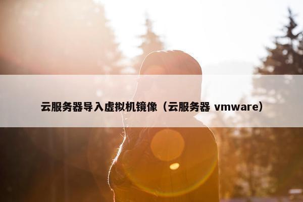 云服务器导入虚拟机镜像（云服务器 vmware）