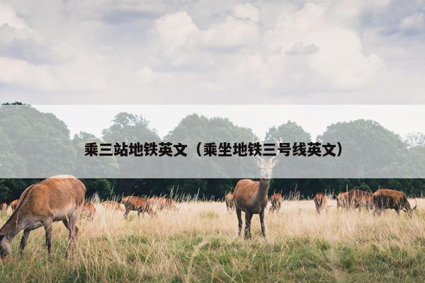 乘三站地铁英文（乘坐地铁三号线英文）