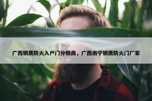 广西钢质防火入户门分销商,广西南宁钢质防火门厂家