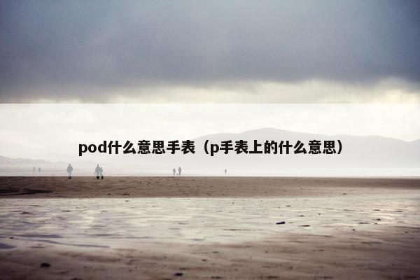 pod什么意思手表（p手表上的什么意思）