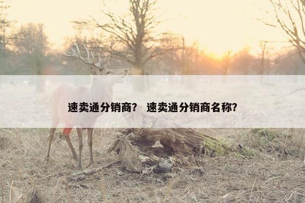 速卖通分销商？ 速卖通分销商名称？