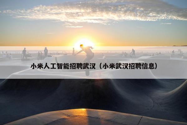 小米人工智能招聘武汉（小米武汉招聘信息）