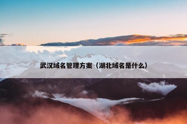 武汉域名管理方案（湖北域名是什么）