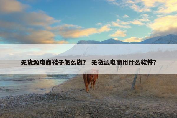 无货源电商鞋子怎么做？ 无货源电商用什么软件？