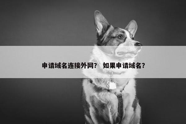 申请域名连接外网？ 如果申请域名？