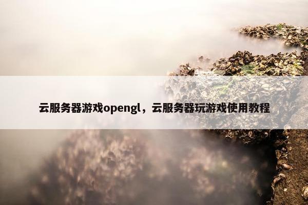 云服务器游戏opengl，云服务器玩游戏使用教程
