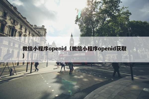 微信小程序openid（微信小程序openid获取）