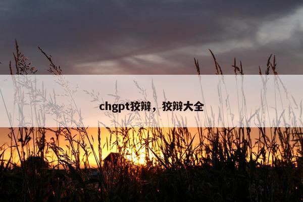 chgpt狡辩,狡辩大全