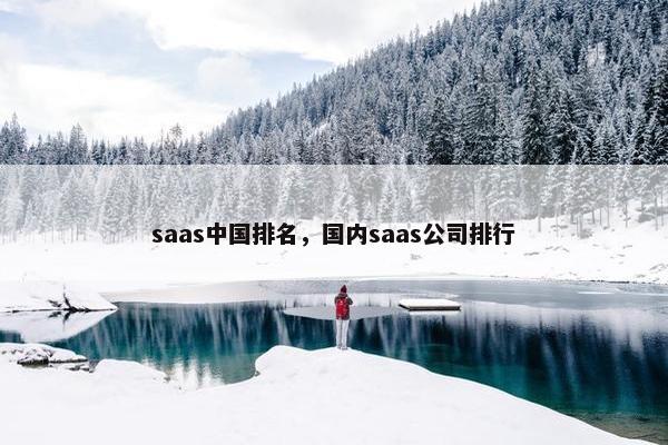 saas中国排名，国内saas公司排行