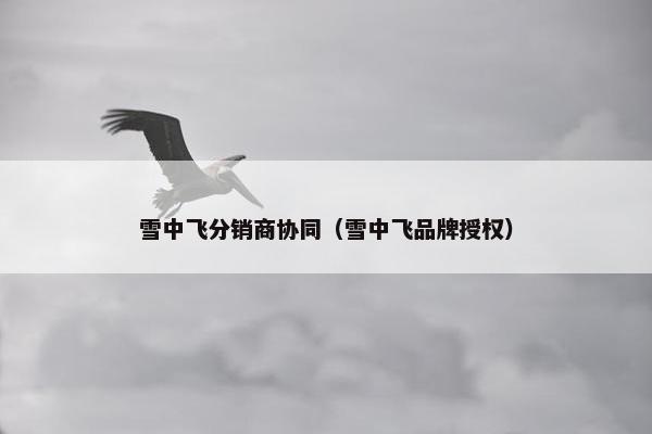 雪中飞分销商协同(雪中飞品牌授权)