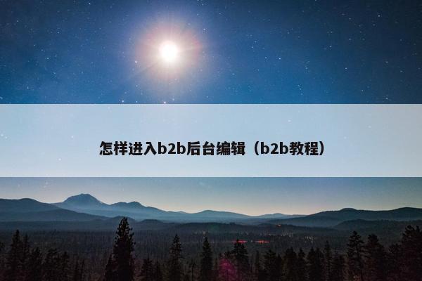 怎样进入b2b后台编辑（b2b教程）