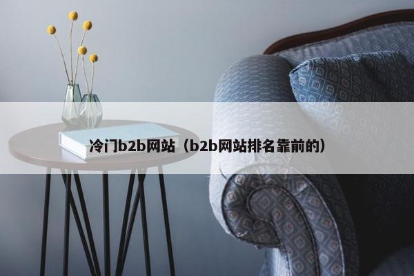 冷门b2b网站(b2b网站排名靠前的)