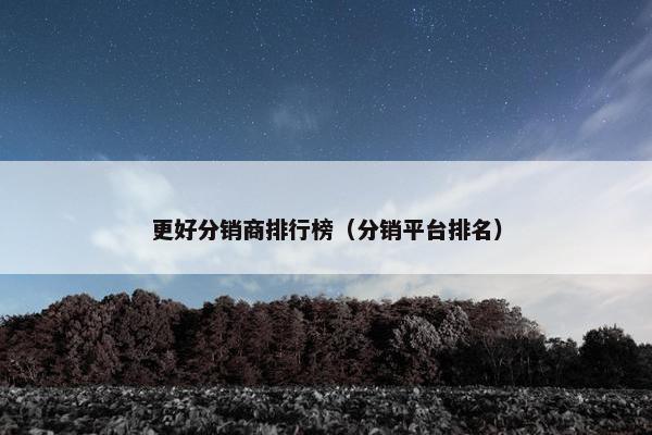 更好分销商排行榜(分销平台排名)