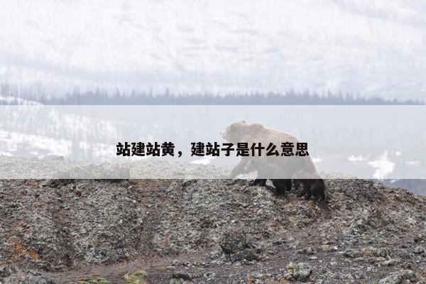 站建站黄，建站子是什么意思