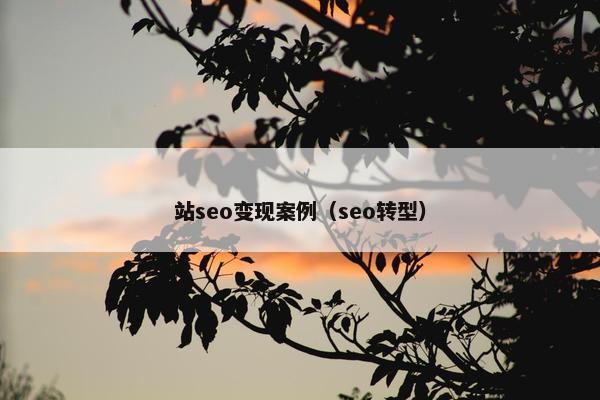 站seo变现案例（seo转型）