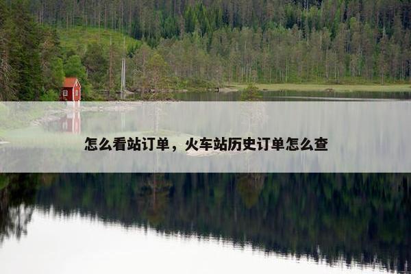 怎么看站订单，火车站历史订单怎么查