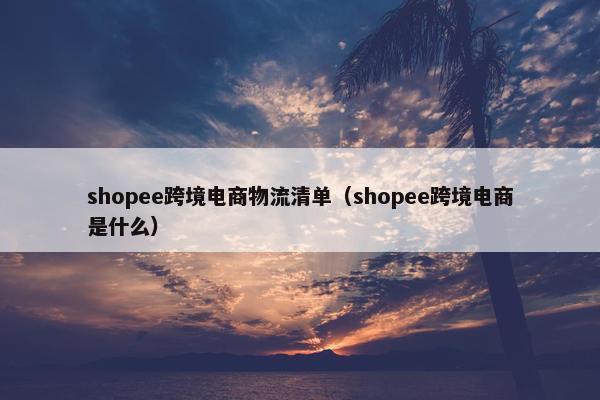 shopee跨境电商物流清单(shopee跨境电商是什么)