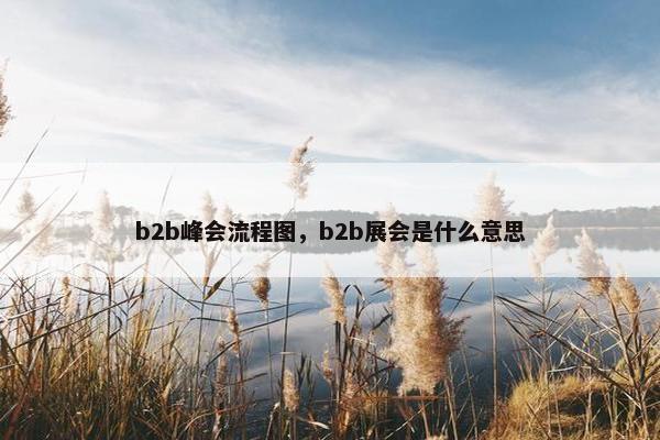 b2b峰会流程图，b2b展会是什么意思