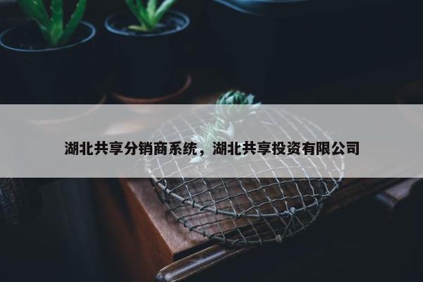 湖北共享分销商系统，湖北共享投资有限公司
