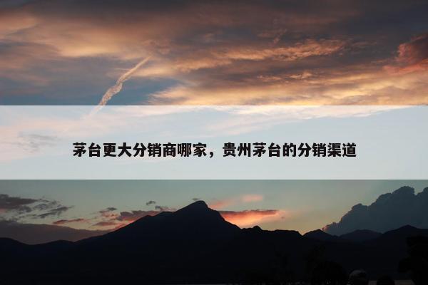 茅台更大分销商哪家，贵州茅台的分销渠道