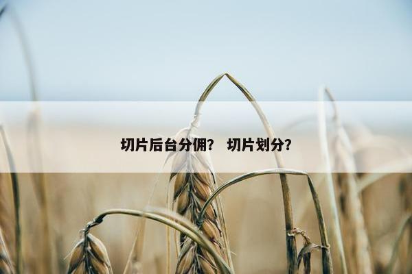 切片后台分佣？ 切片划分？