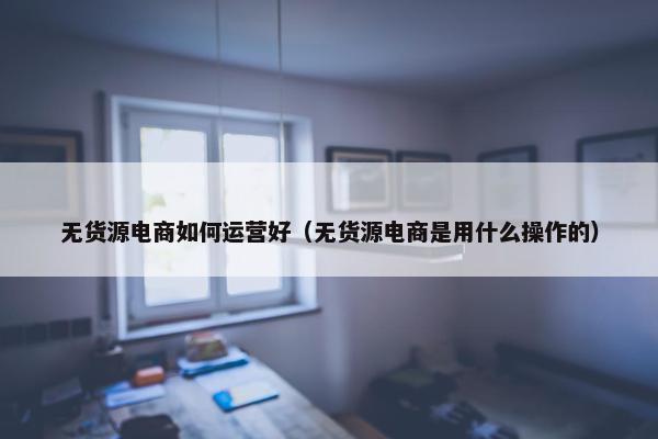 无货源电商如何运营好（无货源电商是用什么操作的）
