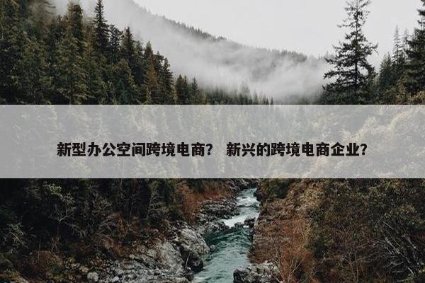 新型办公空间跨境电商? 新兴的跨境电商企业?