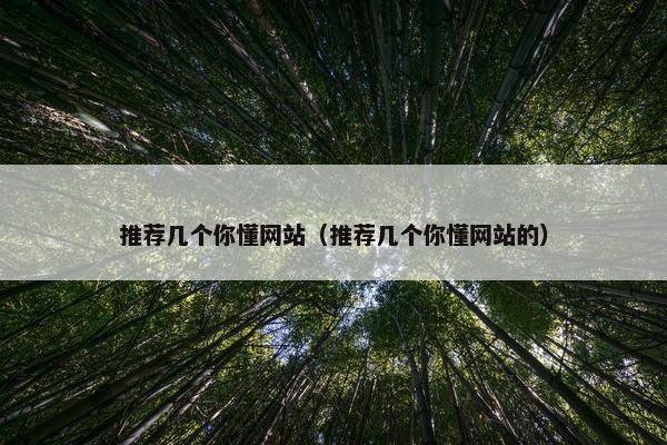 推荐几个你懂网站(推荐几个你懂网站的)