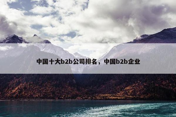 中国十大b2b公司排名,中国b2b企业