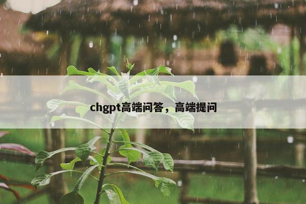 chgpt高端问答，高端提问