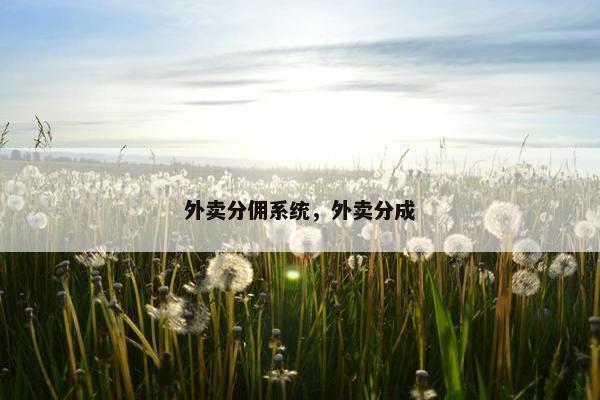 外卖分佣系统，外卖分成