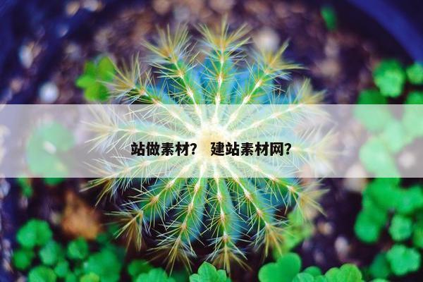 站做素材？ 建站素材网？