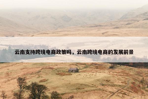 云南支持跨境电商政策吗，云南跨境电商的发展前景