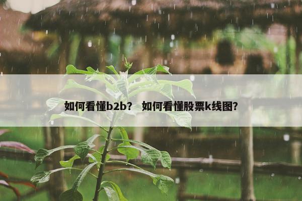 如何看懂b2b? 如何看懂股票k线图? 如何看懂b2b? 如何看懂股票k线图?