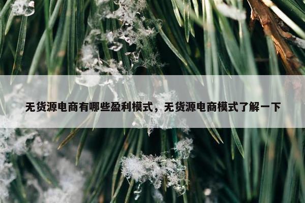 无货源电商有哪些盈利模式，无货源电商模式了解一下