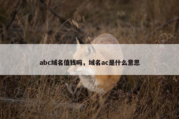 abc域名值钱吗，域名ac是什么意思