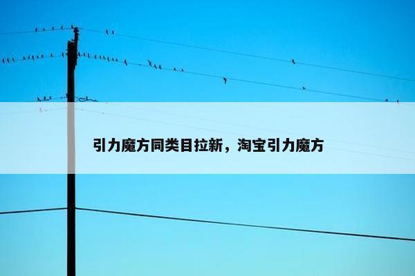 引力魔方同类目拉新，淘宝引力魔方