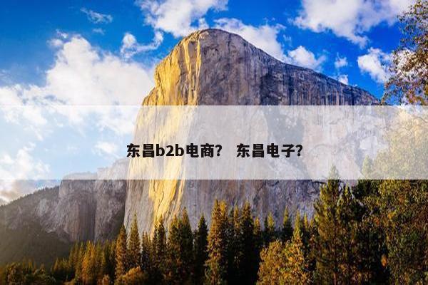 东昌b2b电商？ 东昌电子？