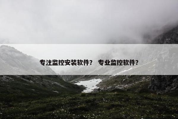 专注监控安装软件？ 专业监控软件？