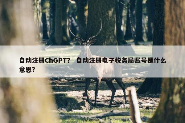 自动注册ChGPT？ 自动注册电子税务局账号是什么意思？