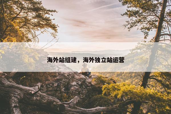 海外站组建，海外独立站运营