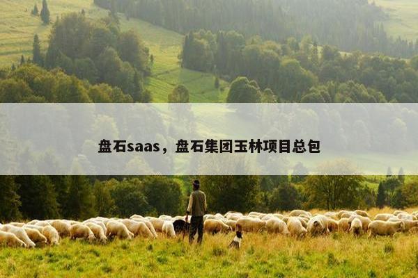盘石saas，盘石集团玉林项目总包