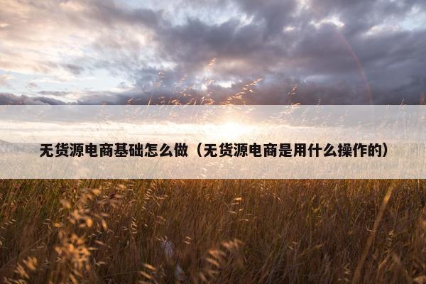 无货源电商基础怎么做（无货源电商是用什么操作的）