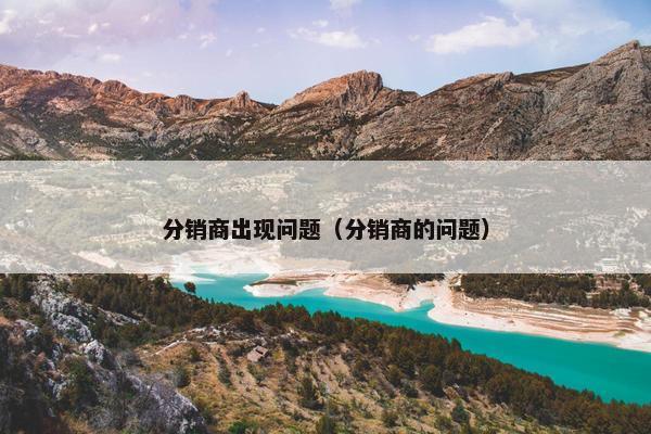 分销商出现问题（分销商的问题）