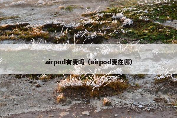 airpod有麦吗(airpod麦在哪) airpod有麦吗(airpod麦在哪)