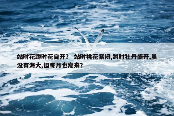 站时花蹲时花自开？ 站时桃花紧闭,蹲时牡丹盛开,虽没有海大,但每月也潮来？