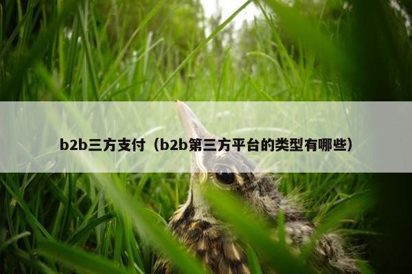 b2b三方支付（b2b第三方平台的类型有哪些）