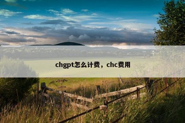 chgpt怎么计费，chc费用